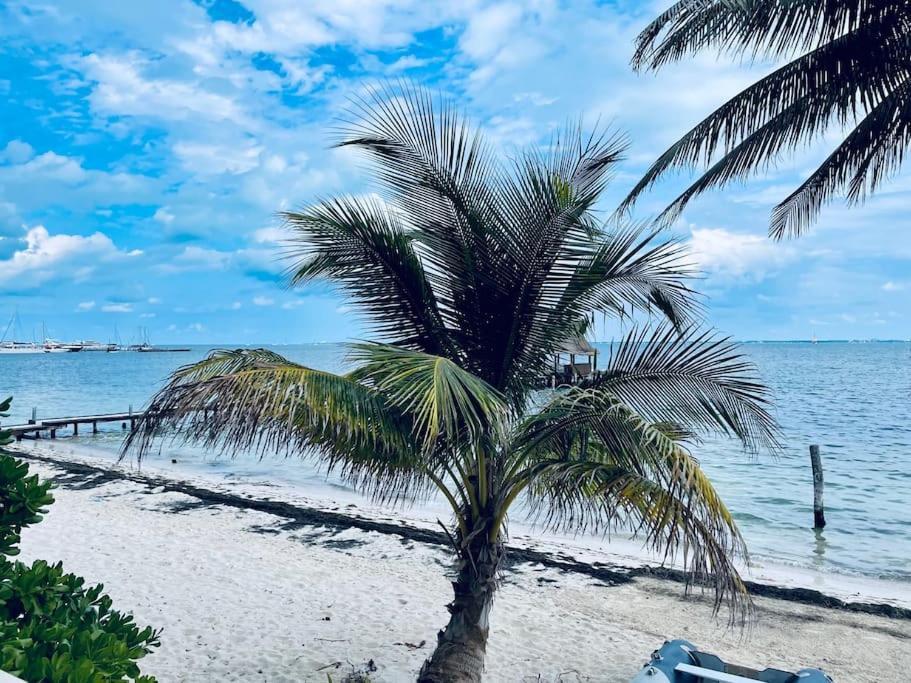 Punta Me Apartments With Nice Sea View & Beach 칸쿤 외부 사진