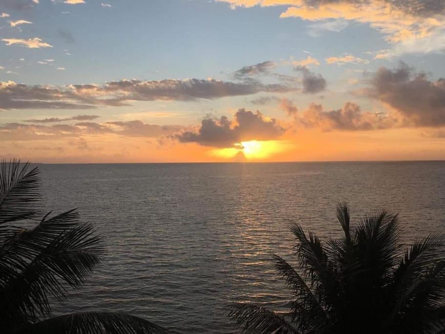 Punta Me Apartments With Nice Sea View & Beach 칸쿤 외부 사진
